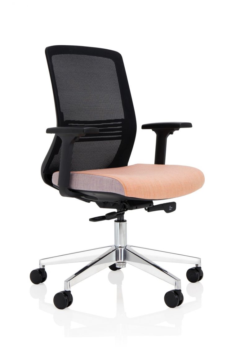 Vida Mesh Back Task Chair