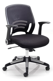 Easton Mesh Chair